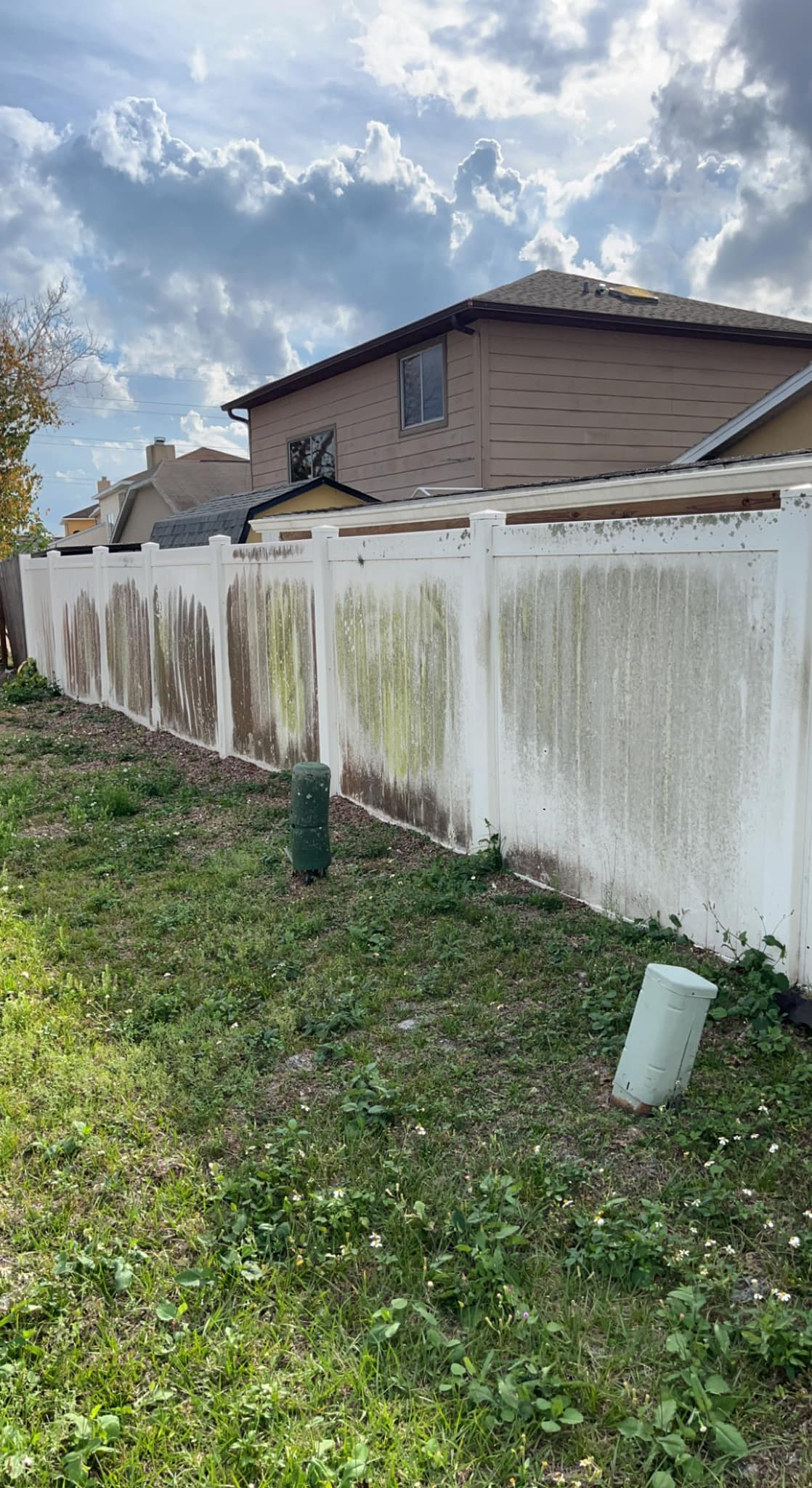 PVC privacy fence before — green algae streaks and brown stains