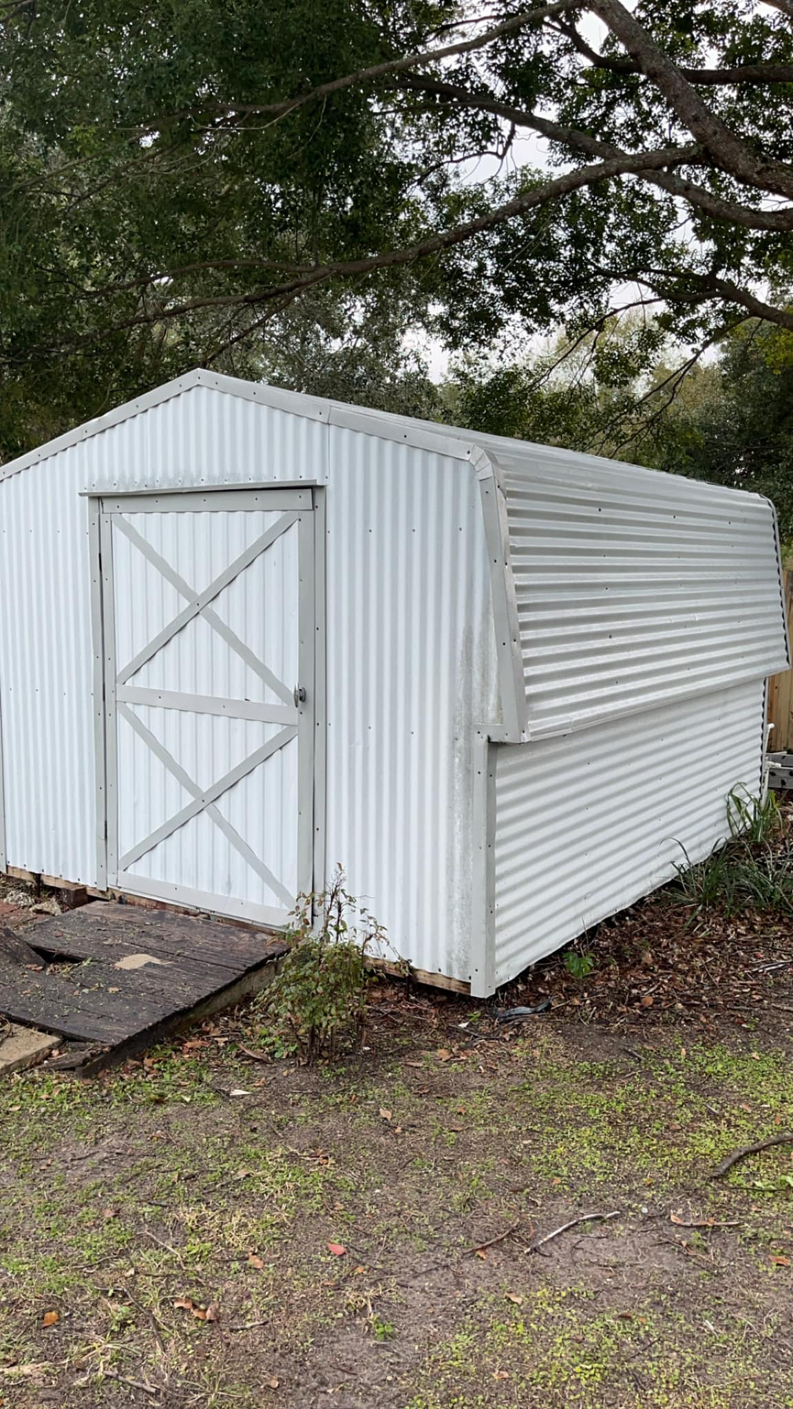 Shed after Jay's Pressure Washing soft wash